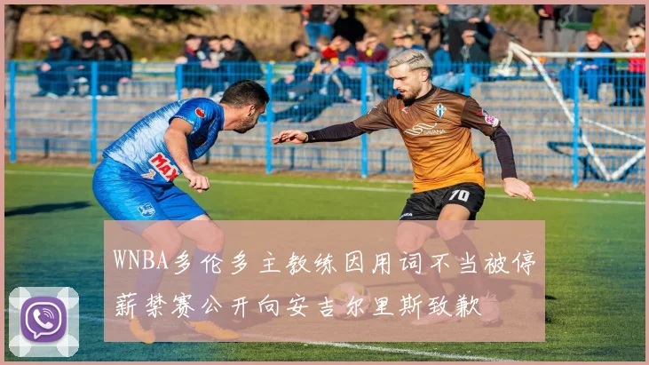 WNBA多伦多主教练因用词不当被停薪禁赛公开向安吉尔里斯致歉
